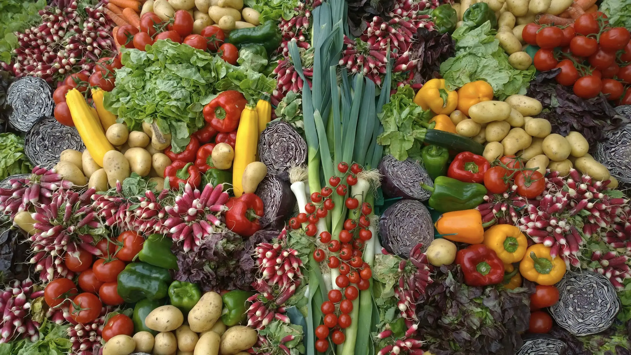 An abundant display of fresh vegetables: tomatoes, peppers, potatoes, radishes, cabbage and greens